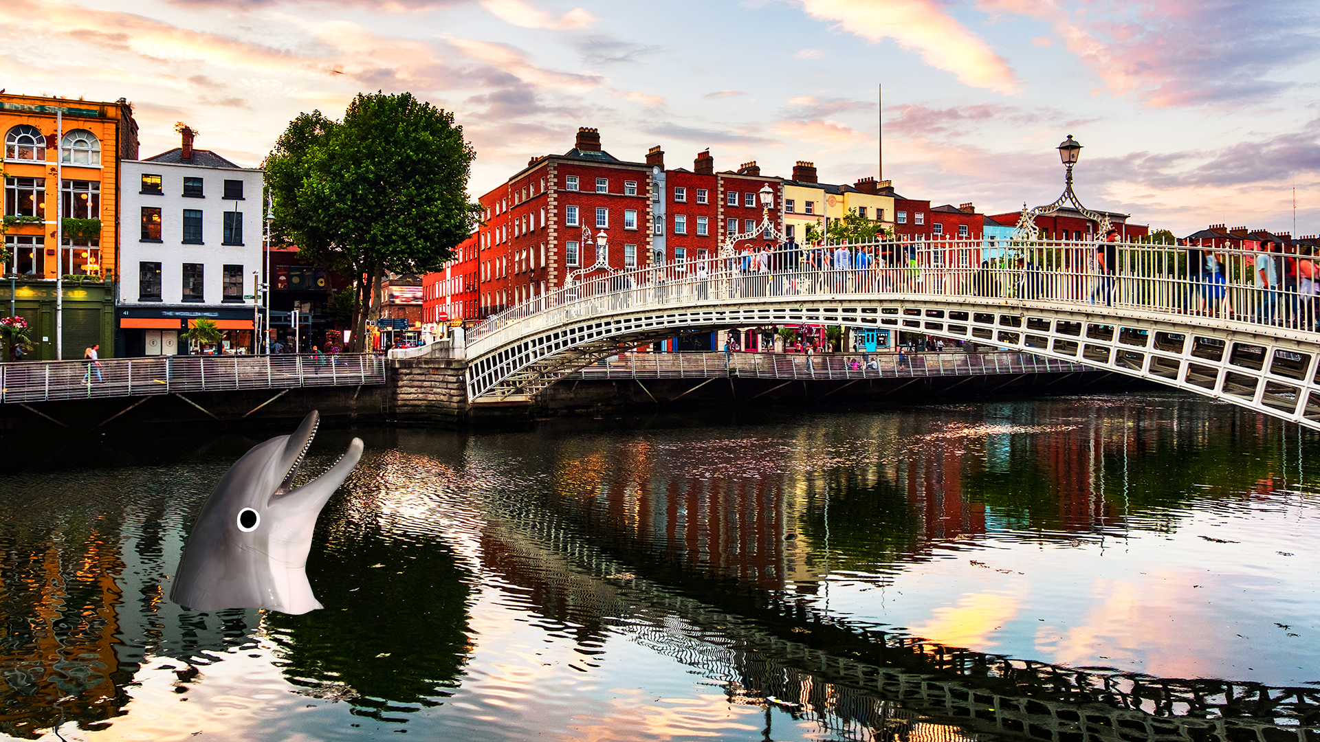 A Dublin scene with a Beano dolphin