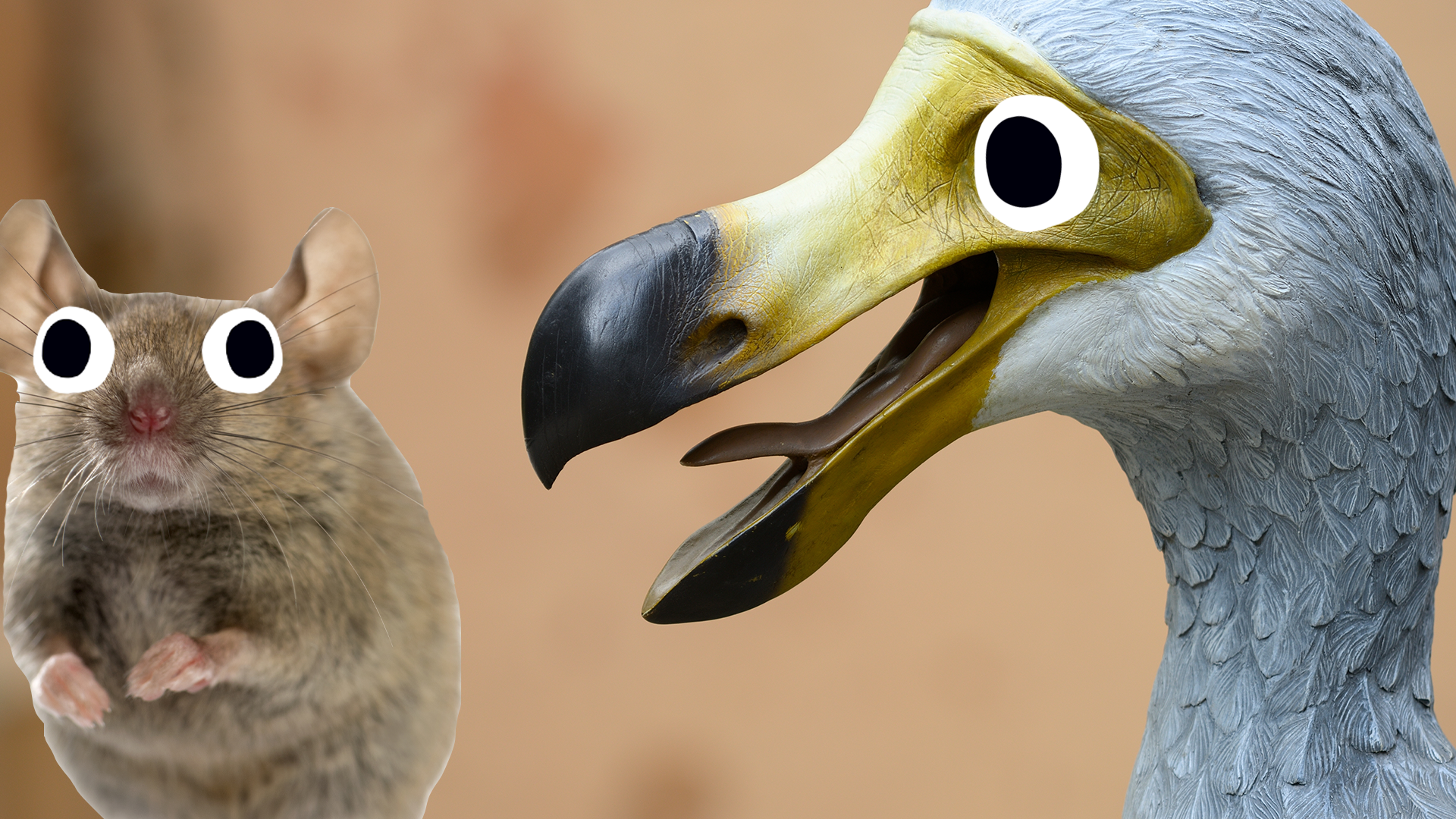 A dodo and a Beano mouse
