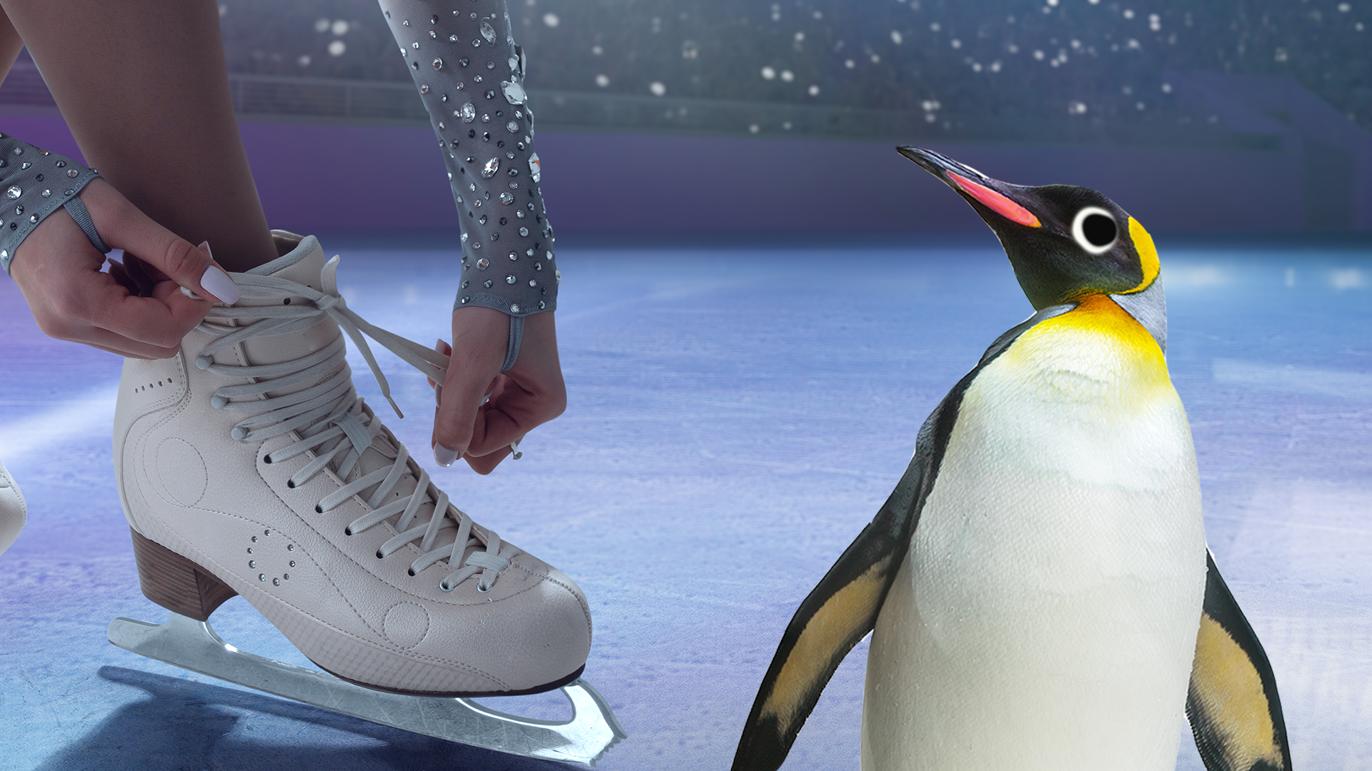Ice skater doing up their boots and a Beano penguin