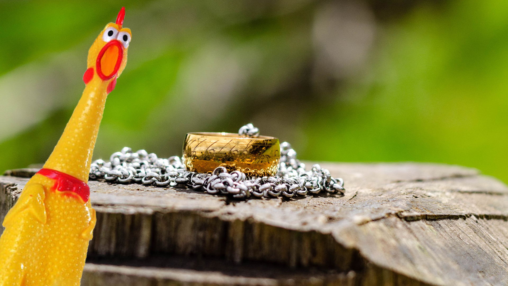 A ring on a log and a rubber chicken