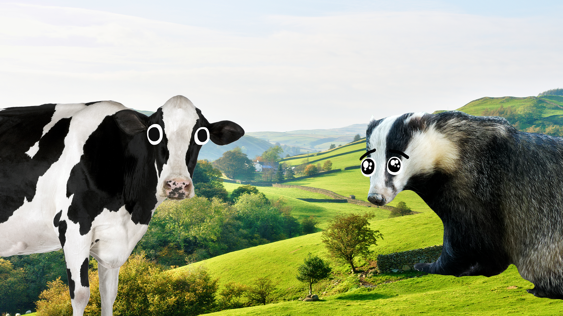 An English countryside scene with Beano cow and badger