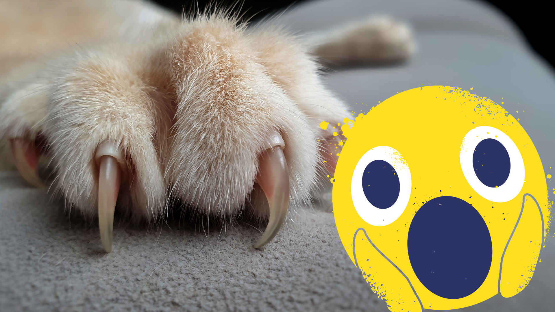 A paw with claws and a shocked emoji