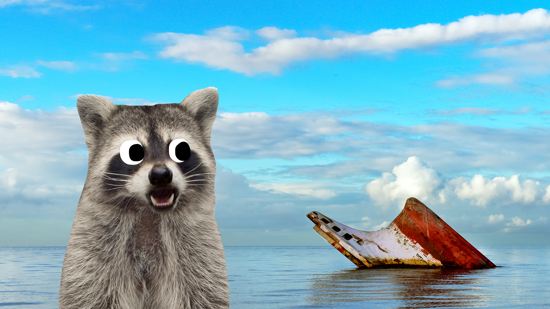 A Raccoon looks at a sinking ship