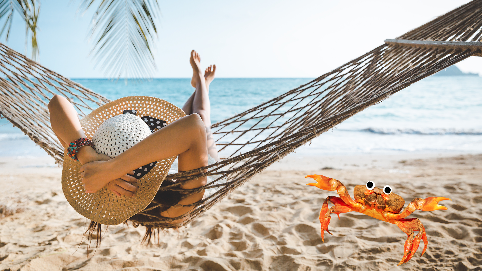 A woman relaxes on a hammock on the beach, while an alarmingly large crab looks on