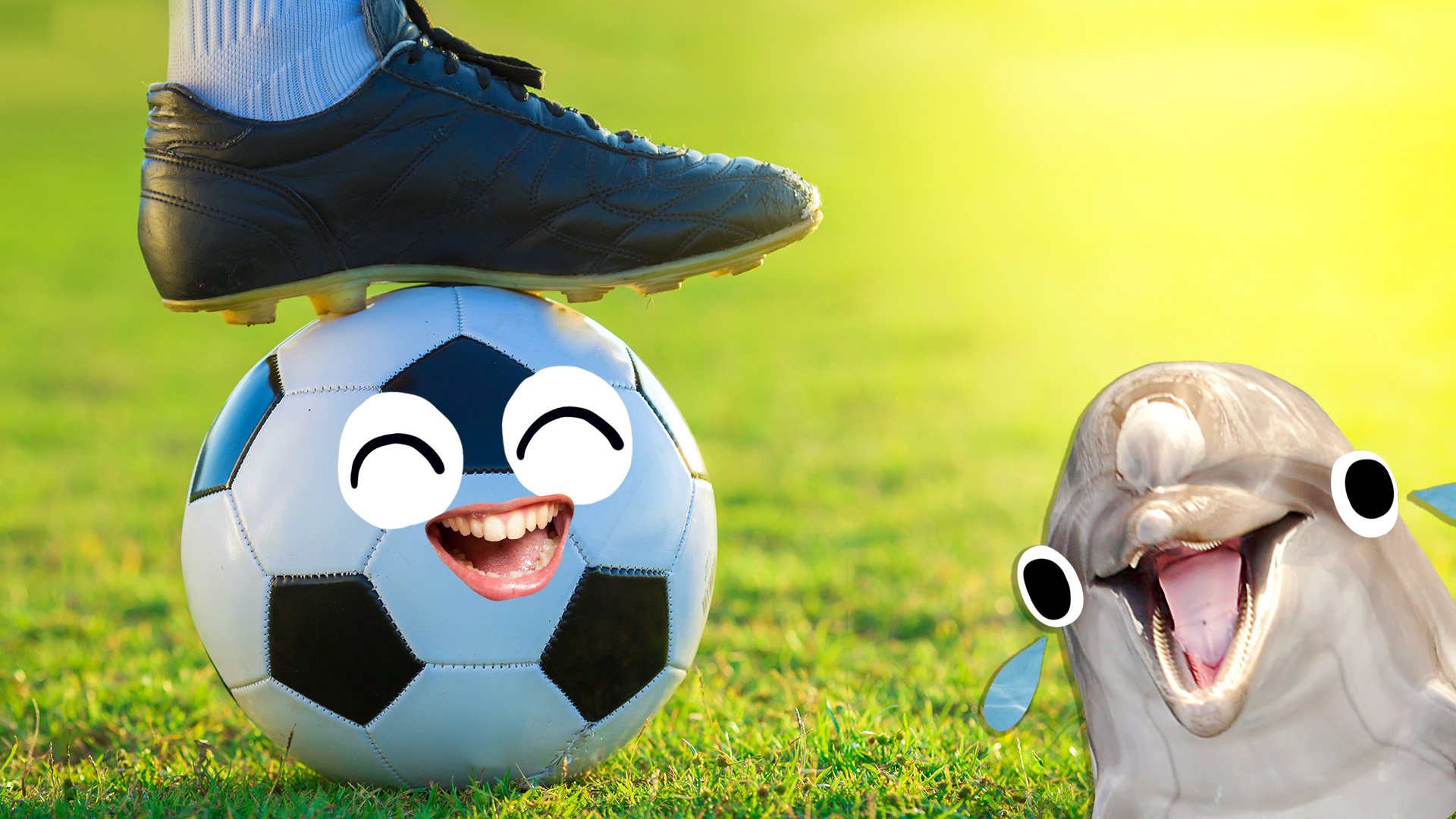 A footballer's foot resting on a ball next to a laughing dolphin