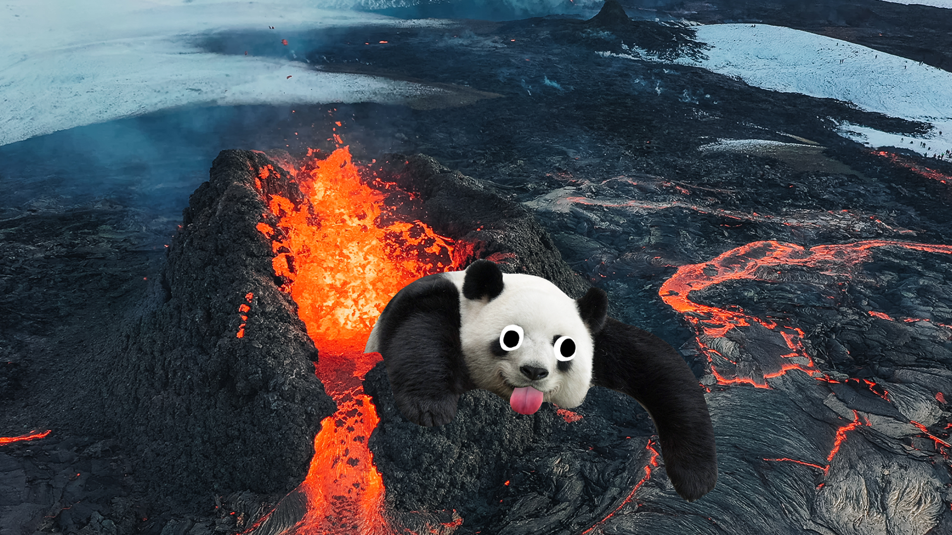 Derpy panda hanging out of a volcano
