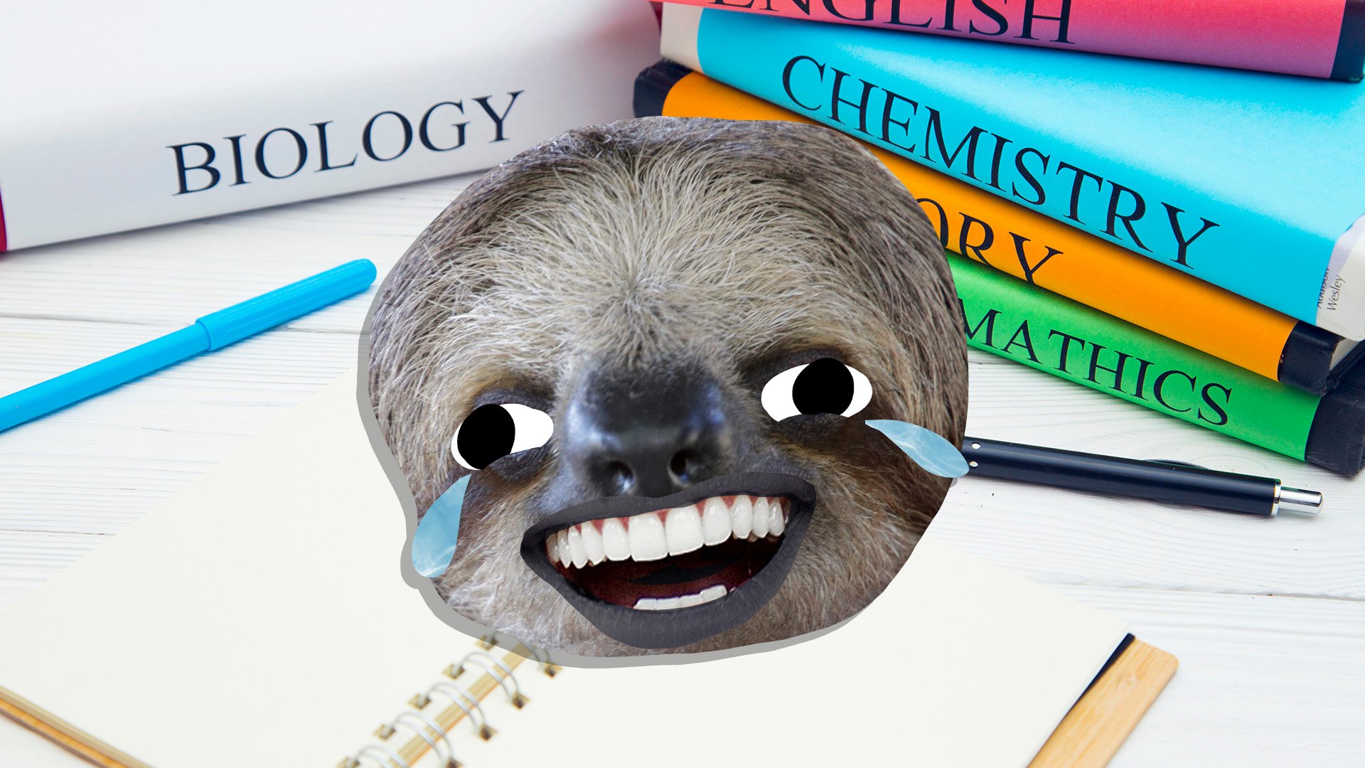 A sloth and some school books