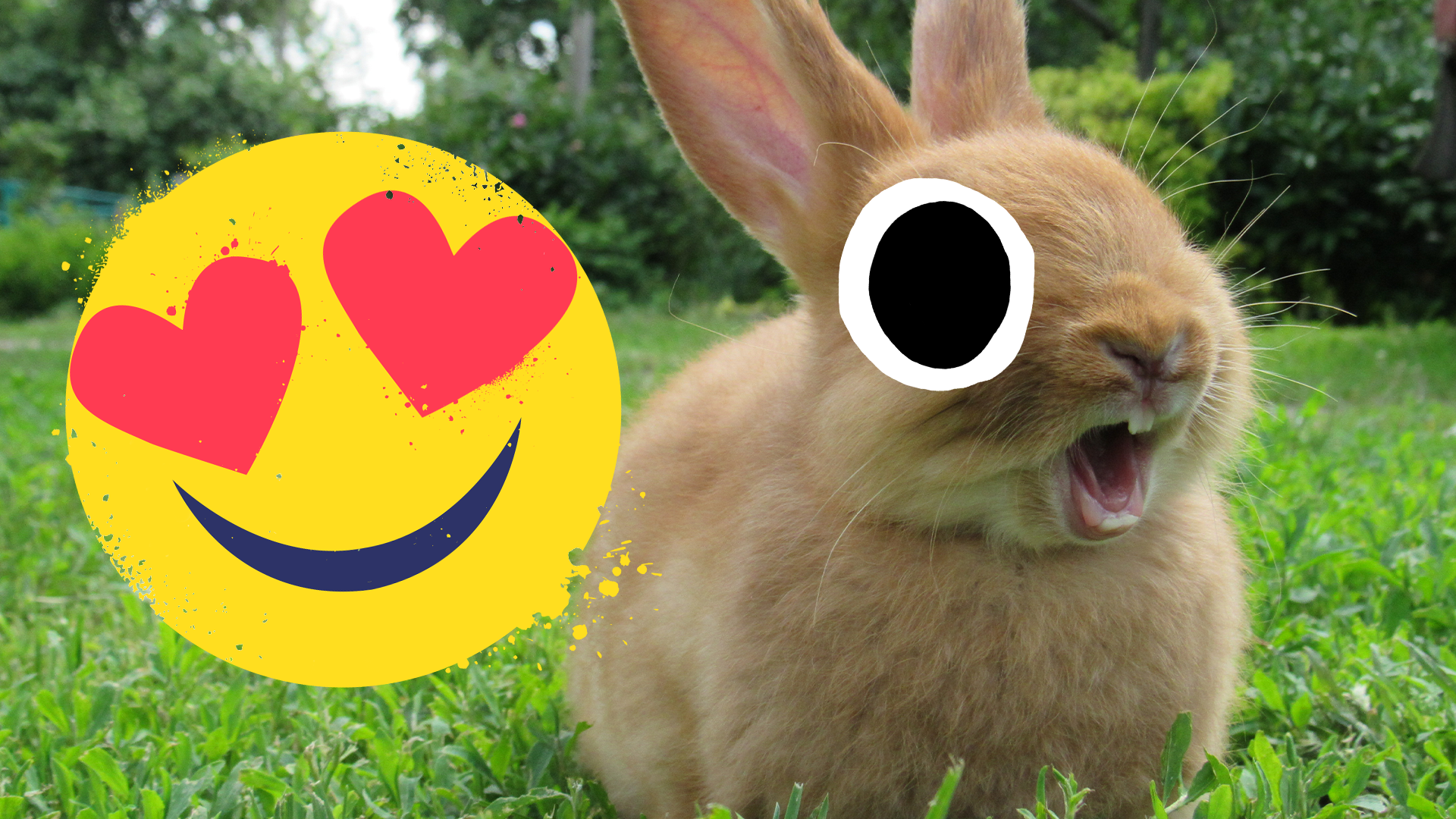 Cute lil bunny and heart eyes emoji