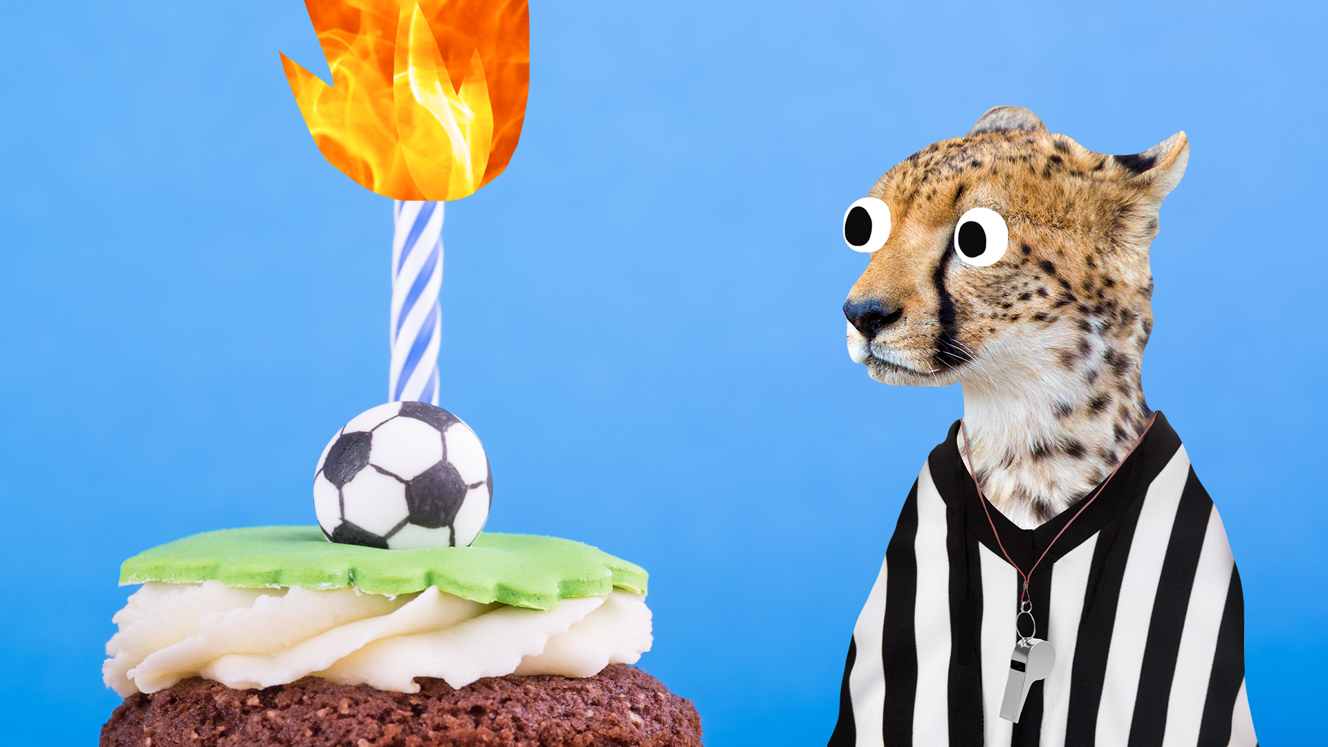Football birthday cake and cheetah referee