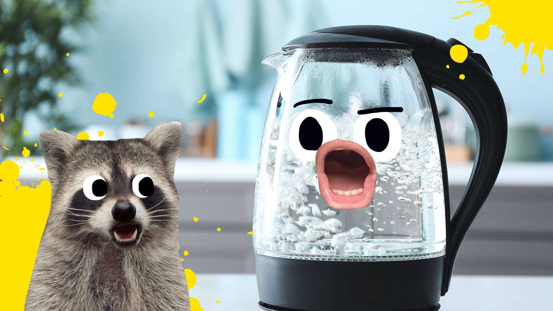 A kettle boils while a raccoon looks on, shocked!