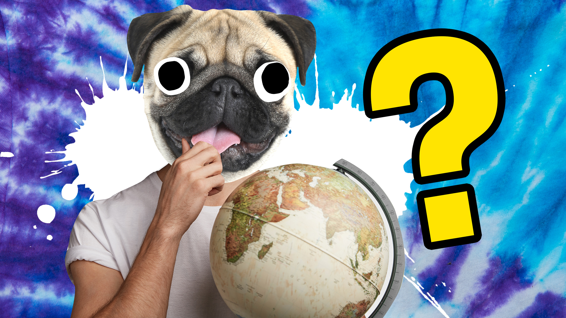 A pug dog looks at a globe