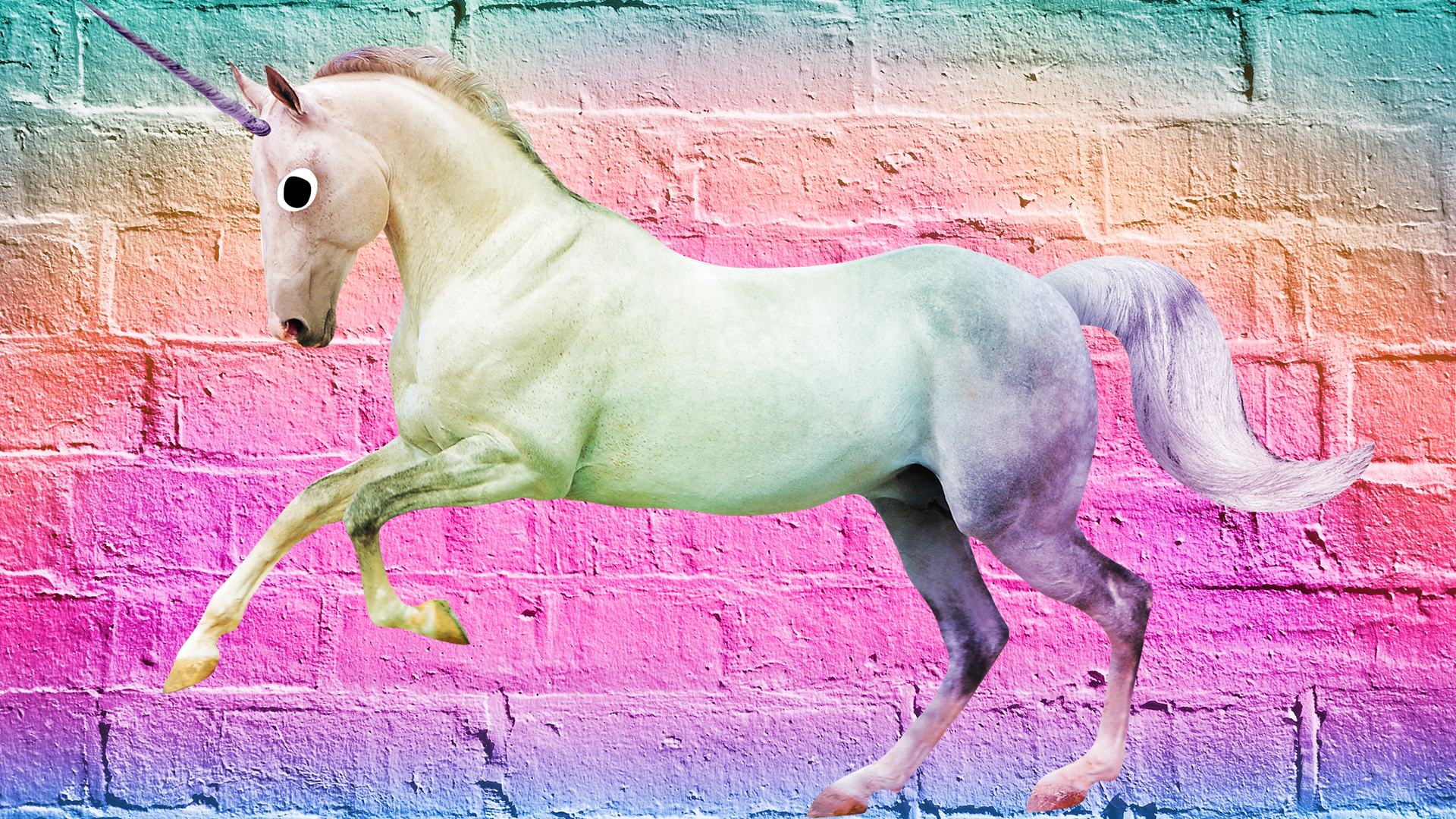 Magic unicorn on rainbow brick wall background