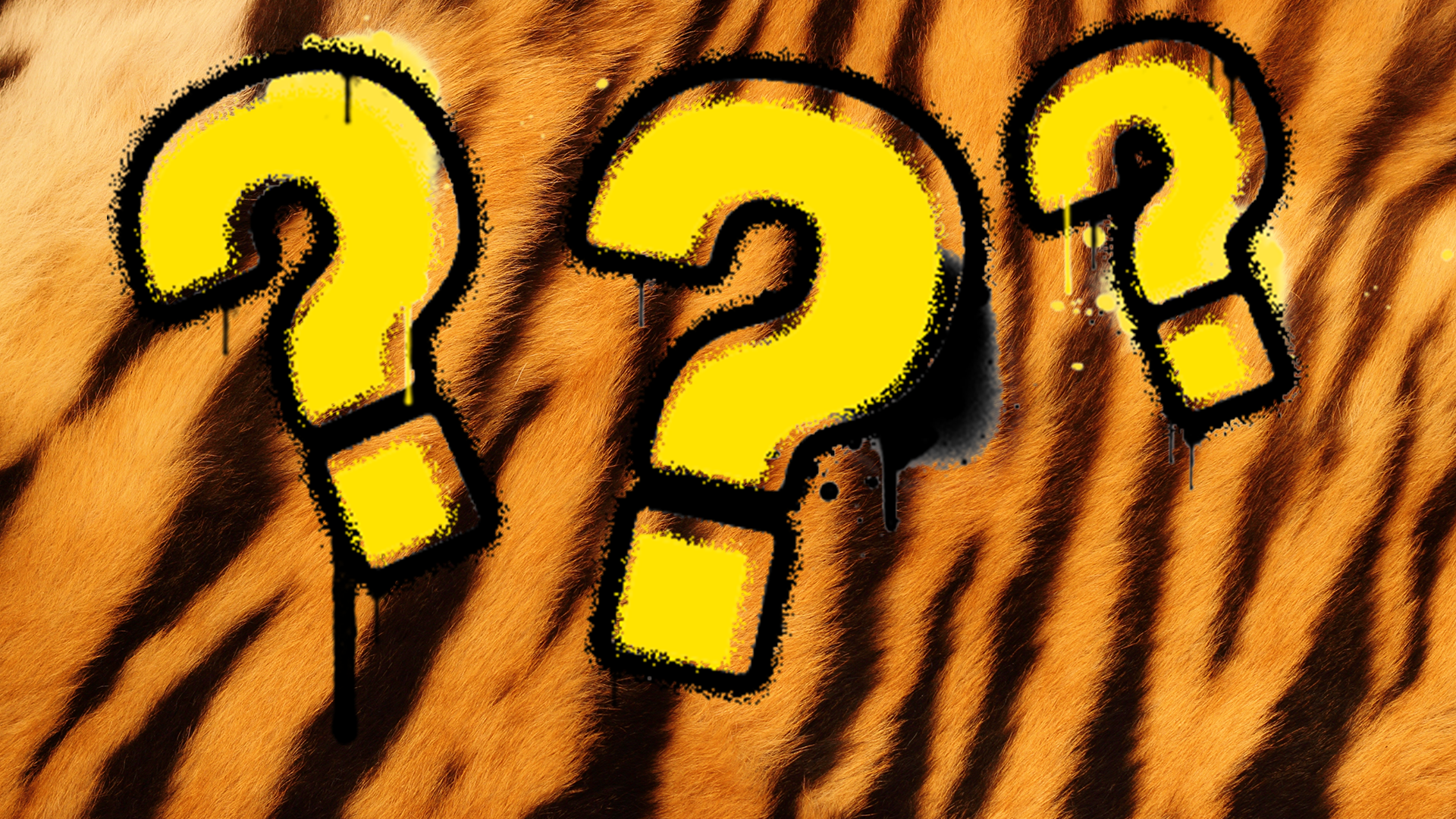 Tiger stripe background and question marks