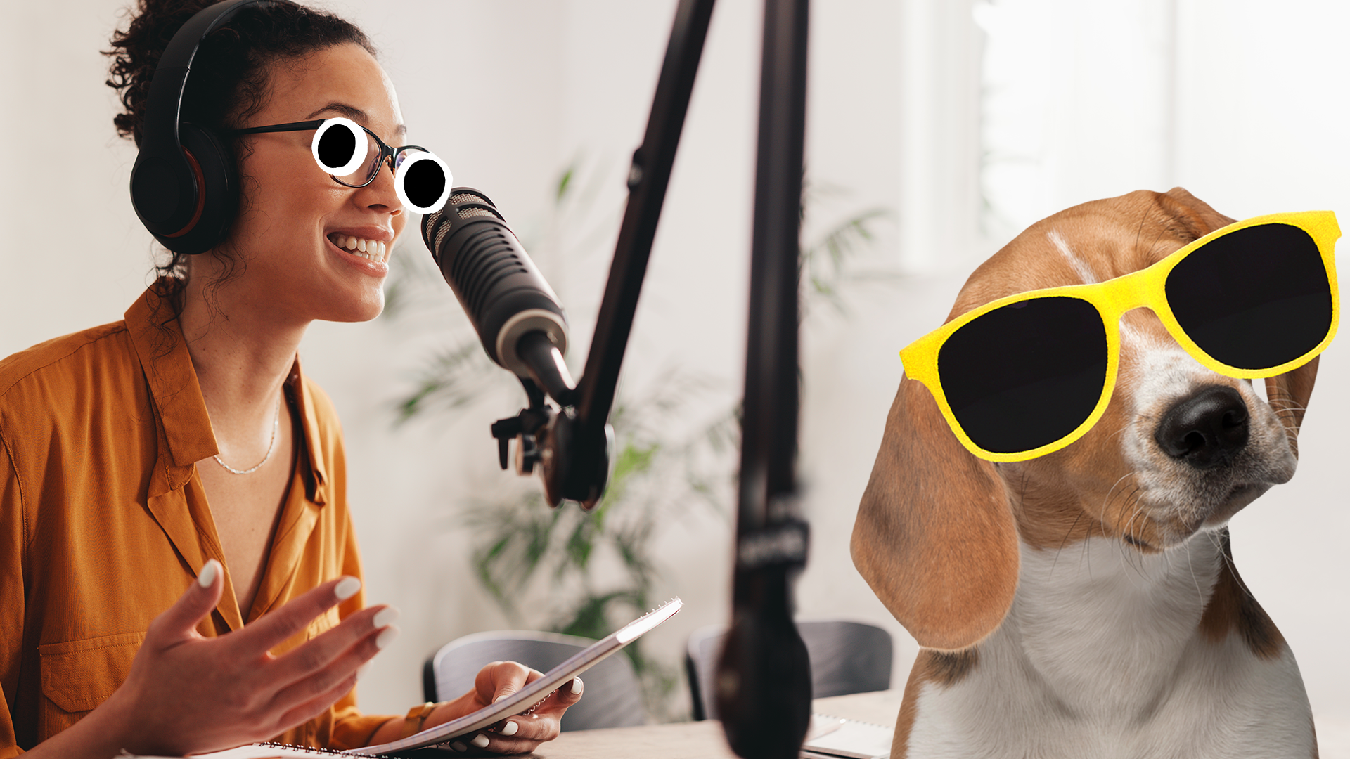 Woman doing podcast and cool Beano dog
