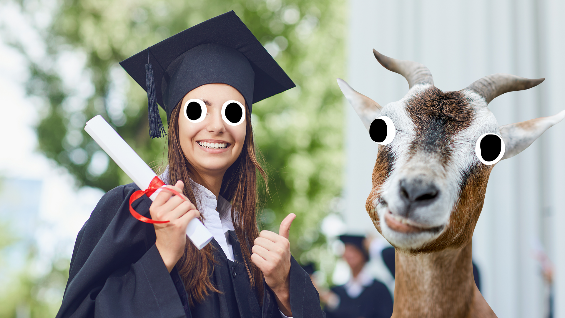 Woman graduating and derpy goat