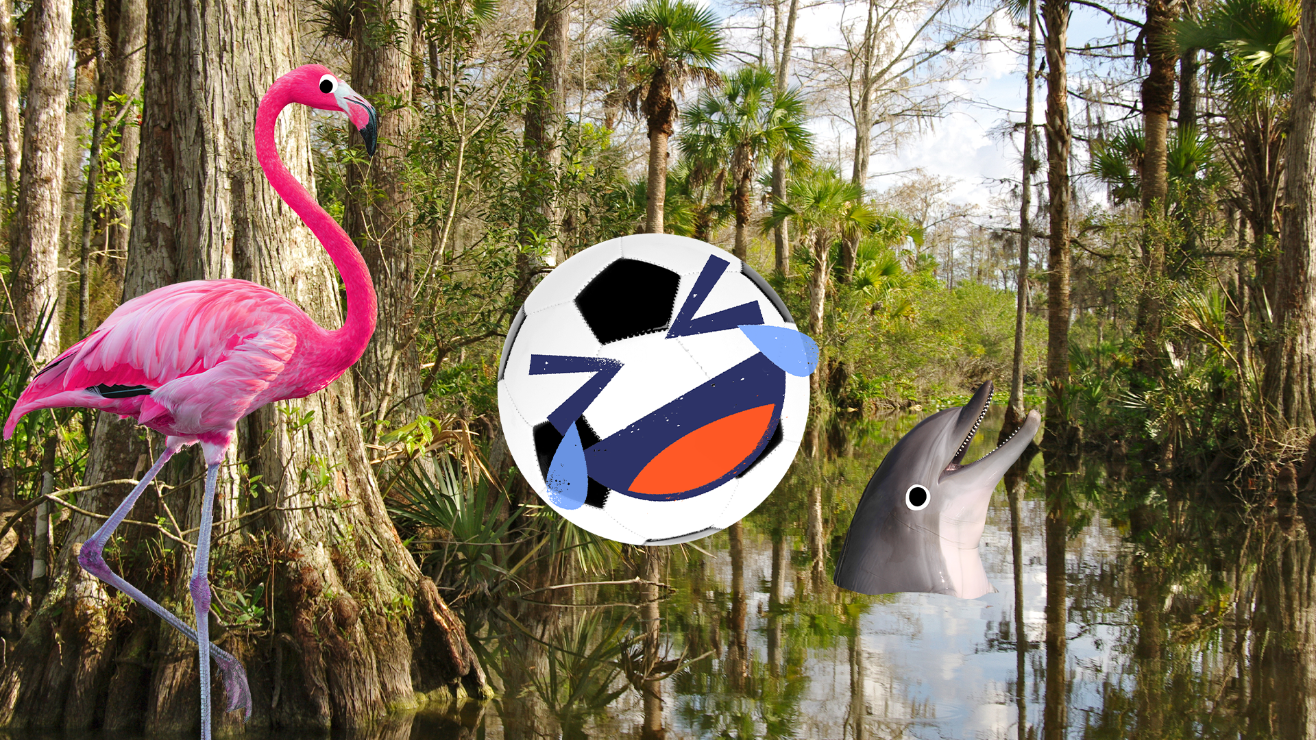 Florida swamp with laughing football, flamingo and dolphin