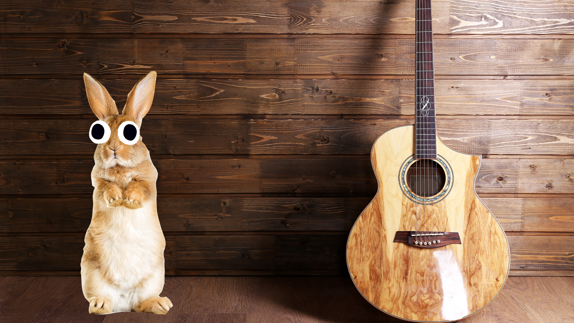 A bunny and a guitar