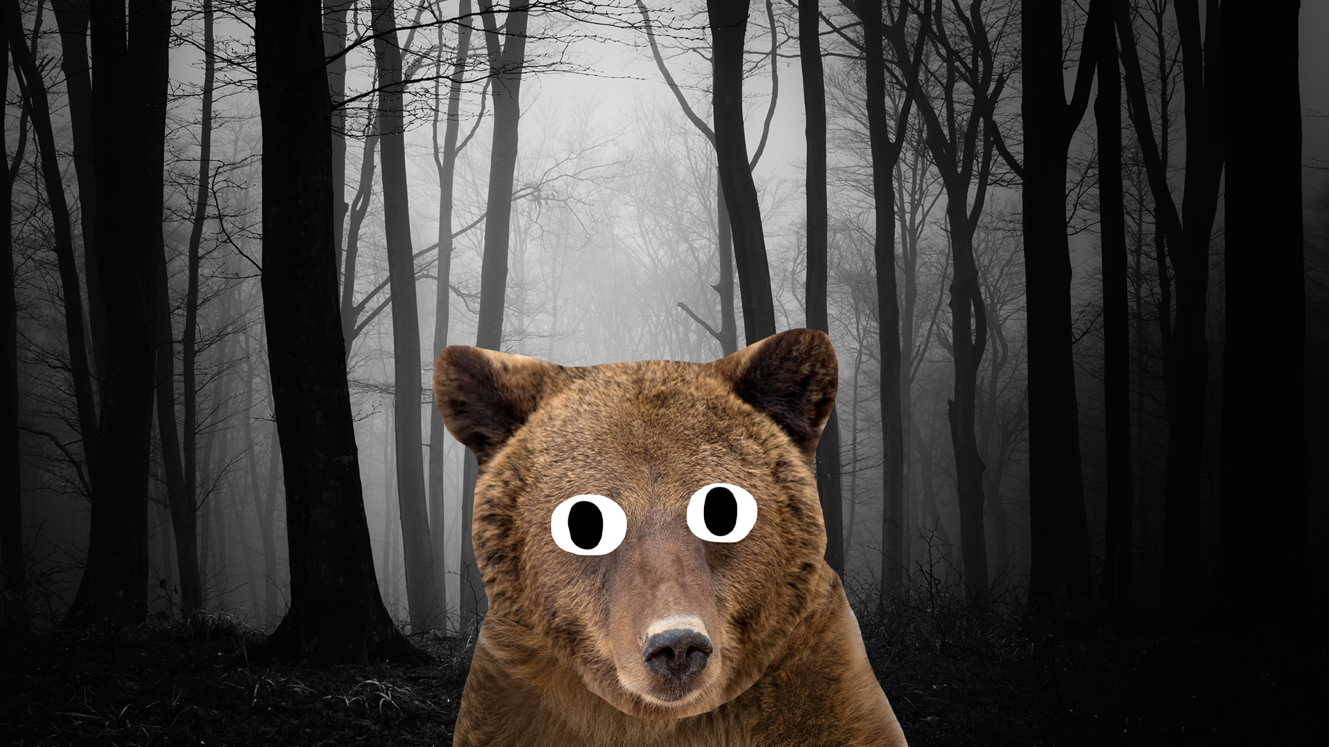 Beano bear in woods