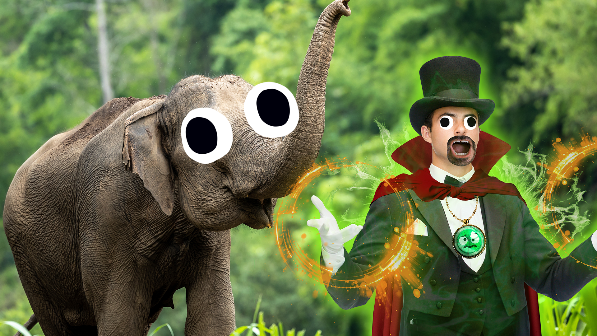 An elephant and a magician