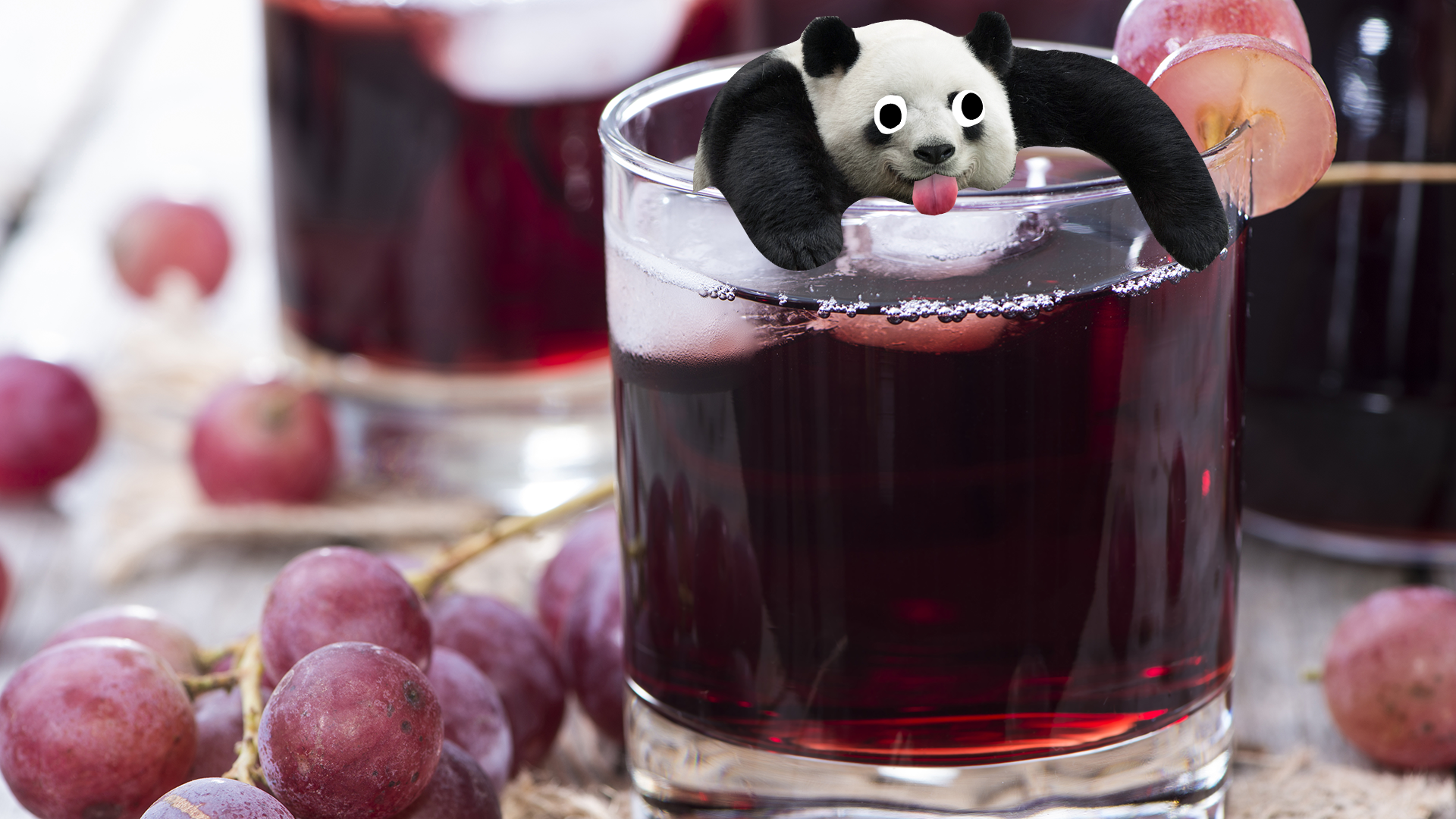 Derpy panda in some grape juice
