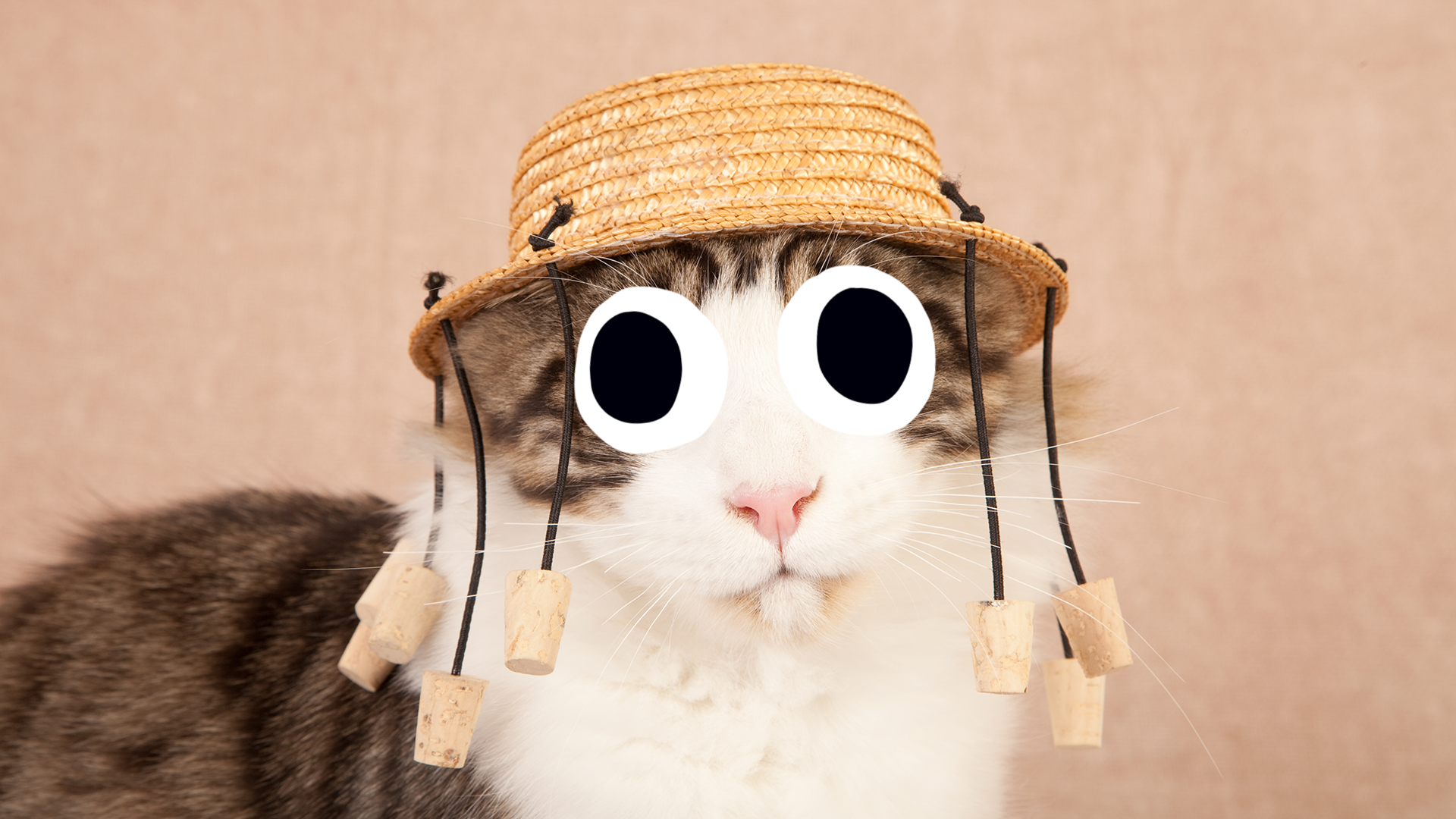 A cat wearing a corked hat
