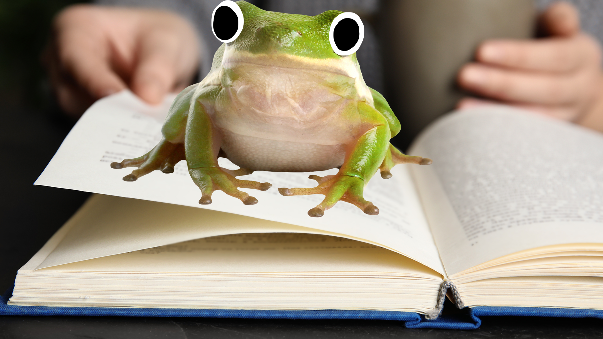 Cute lil frog on a book