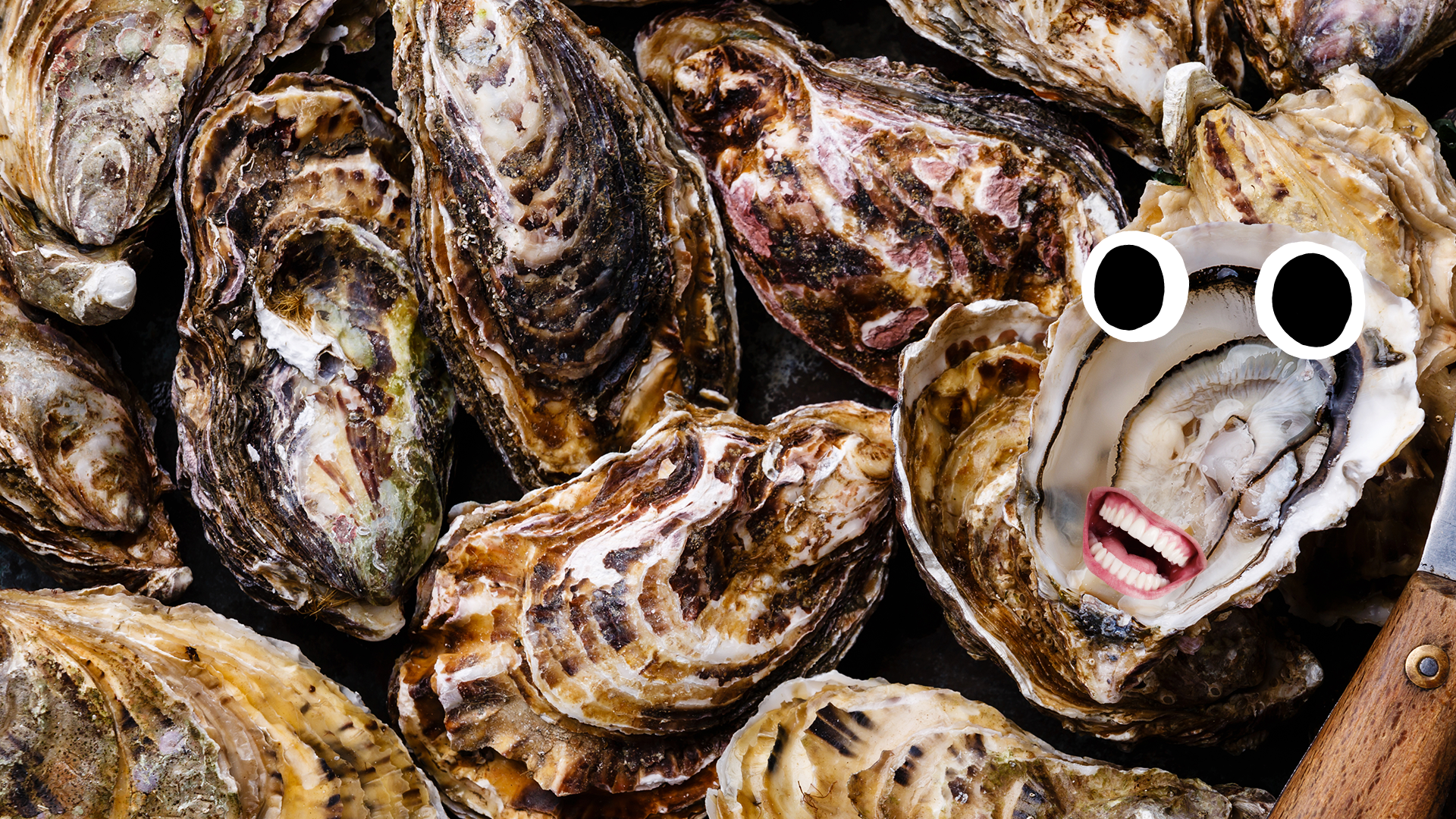 Oysters, one with goofy face