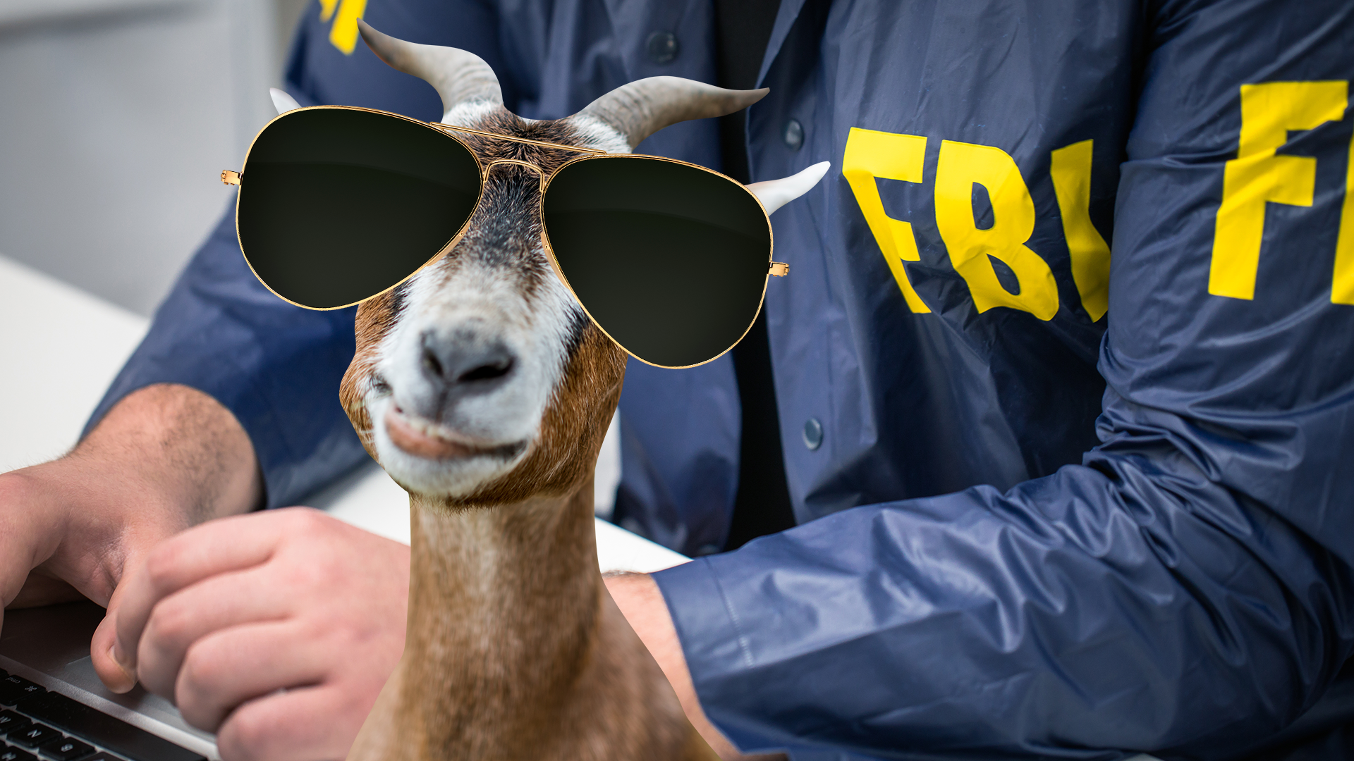 A derpy goat in aviators and an FBI agent
