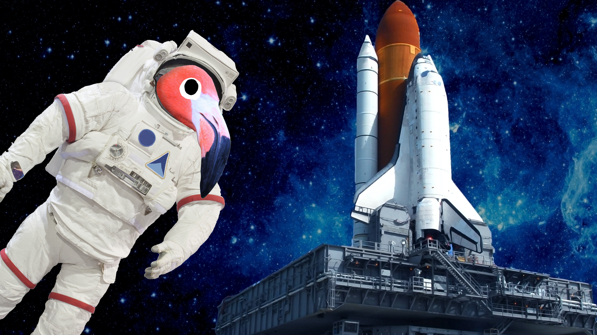 A flamingo astronaut with rocket