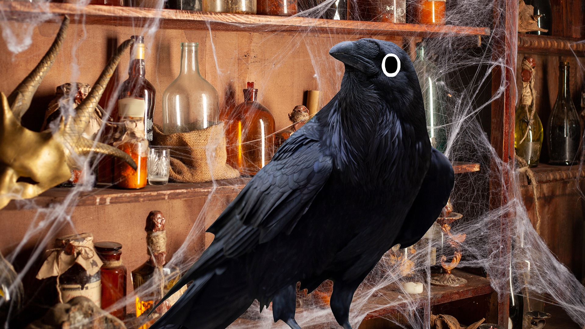 Raven in spooky lab