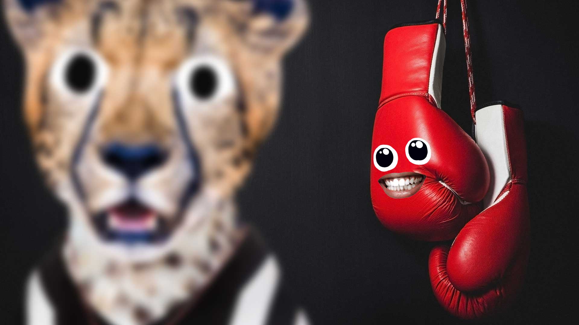 A pair of boxing gloves with a cheetah referee at the front