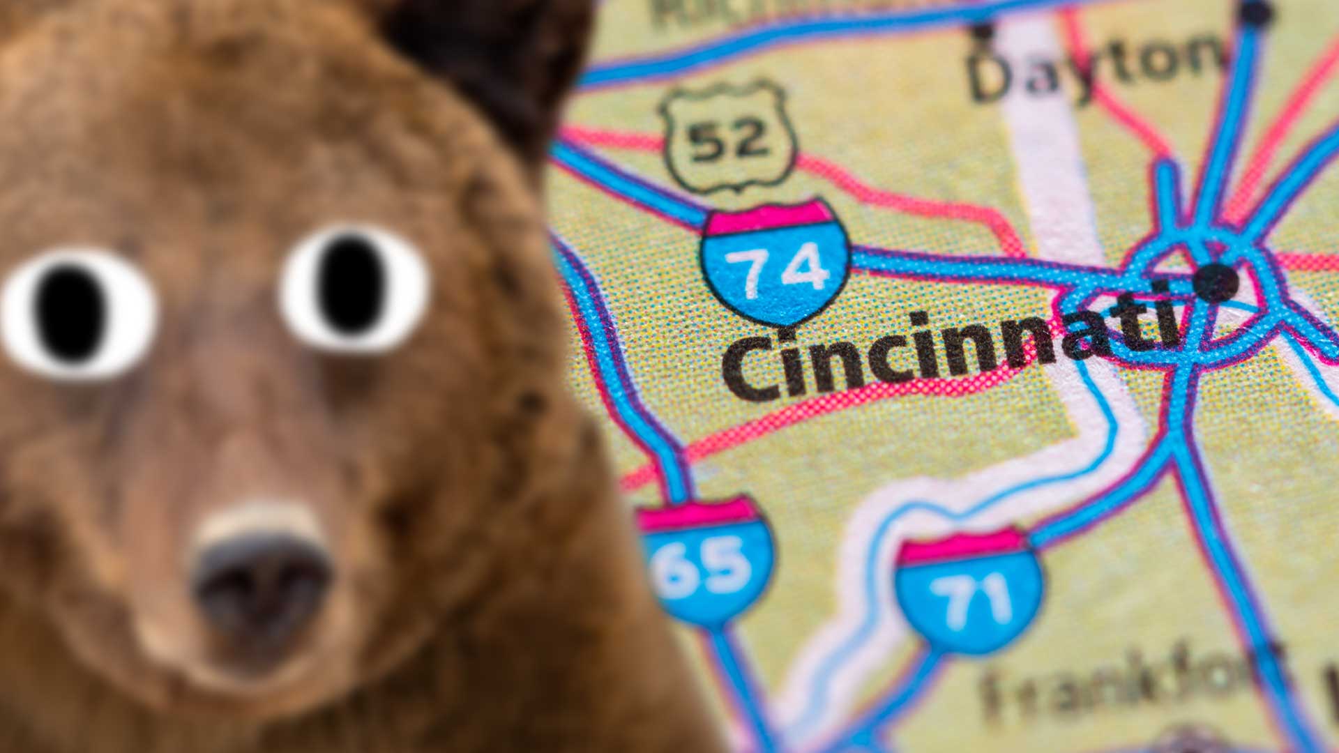 A map of Cincinnati with a bear in the foreground 