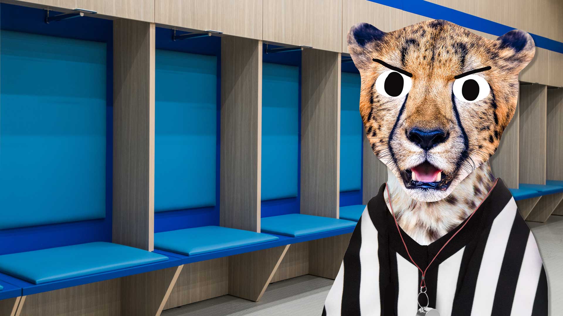 A football changing room with a cheetah in a ref shirt