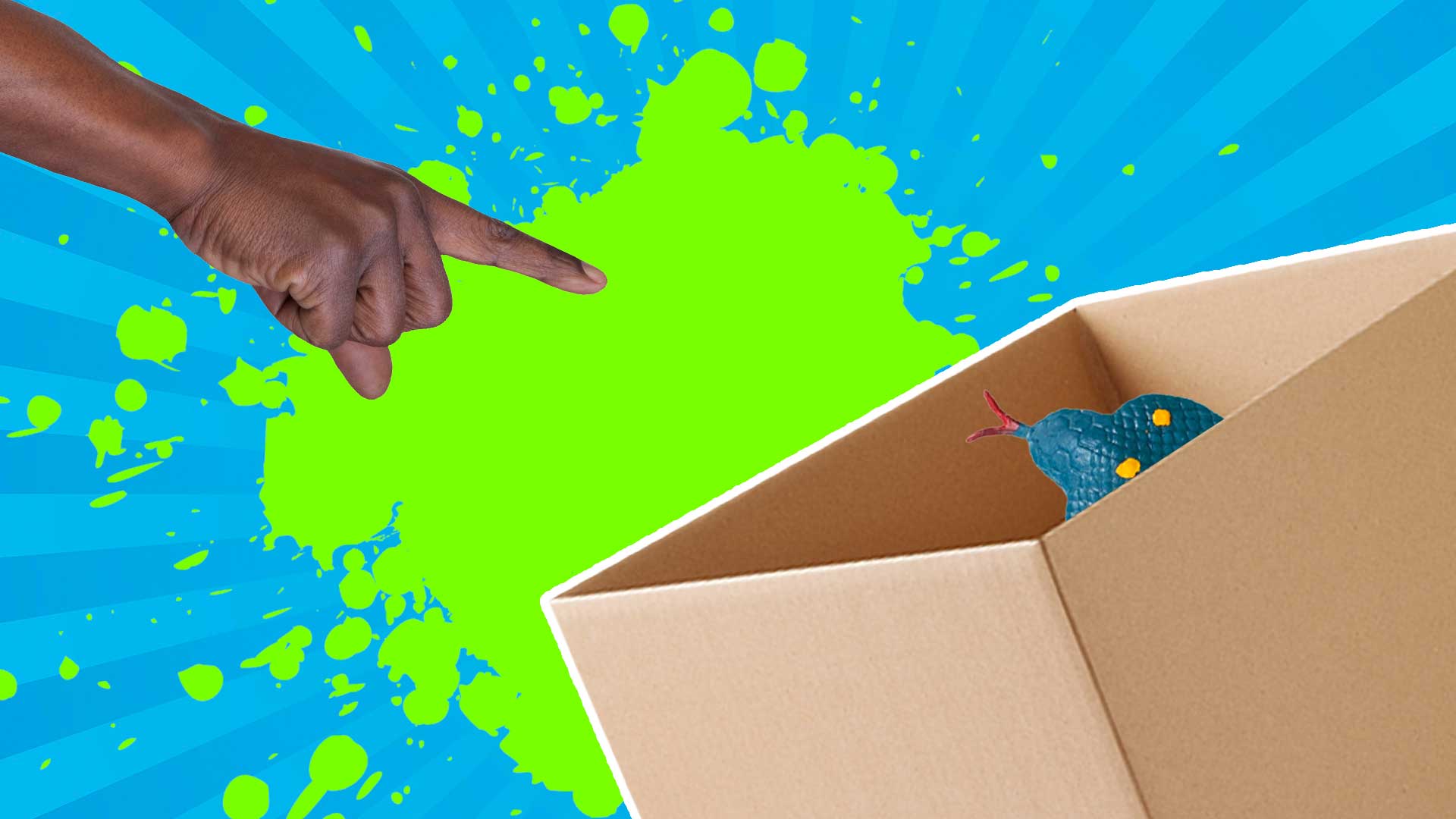 A hand pointing at a rubber snake in a cardboard box