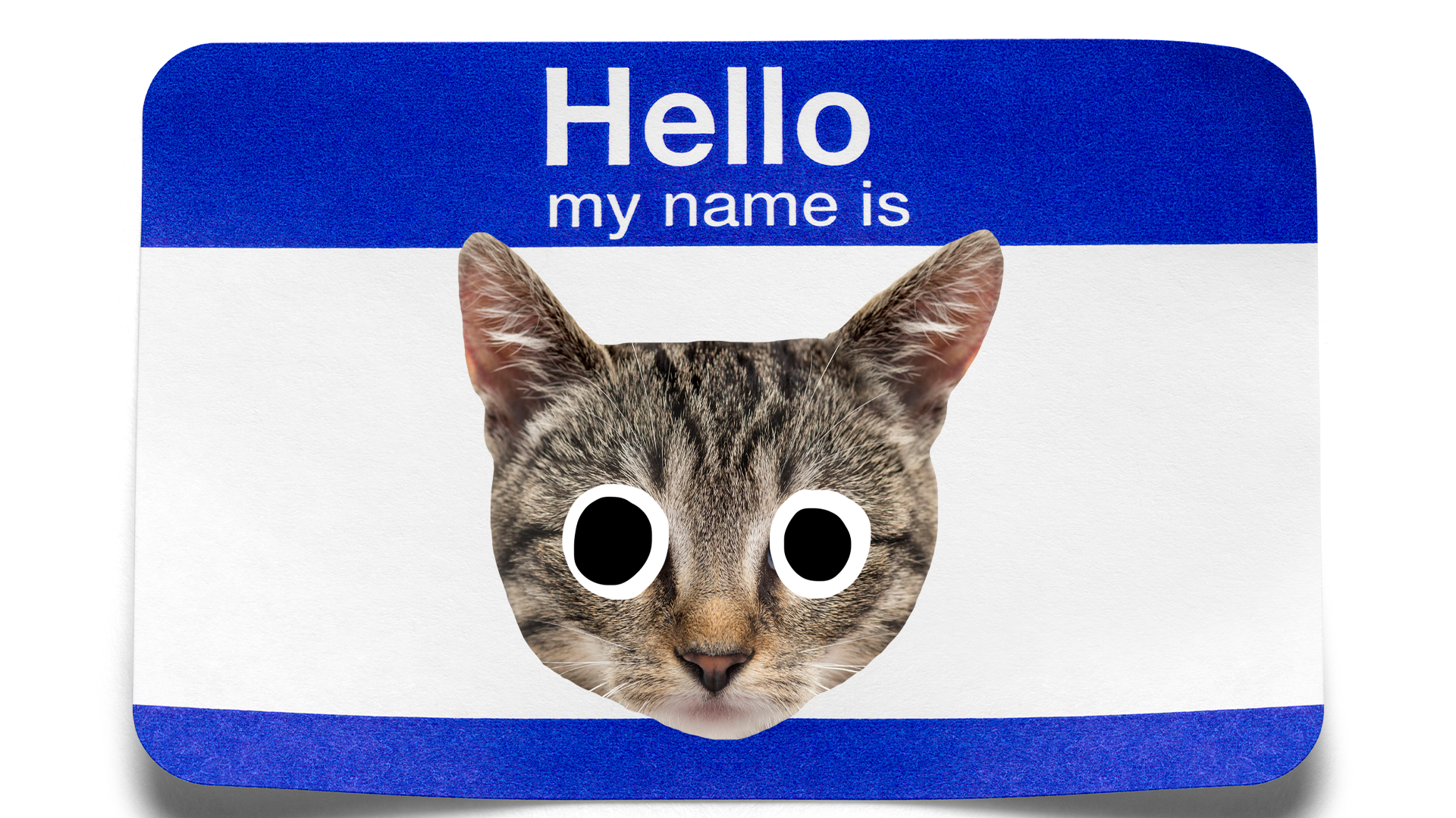 Name badge with cat face