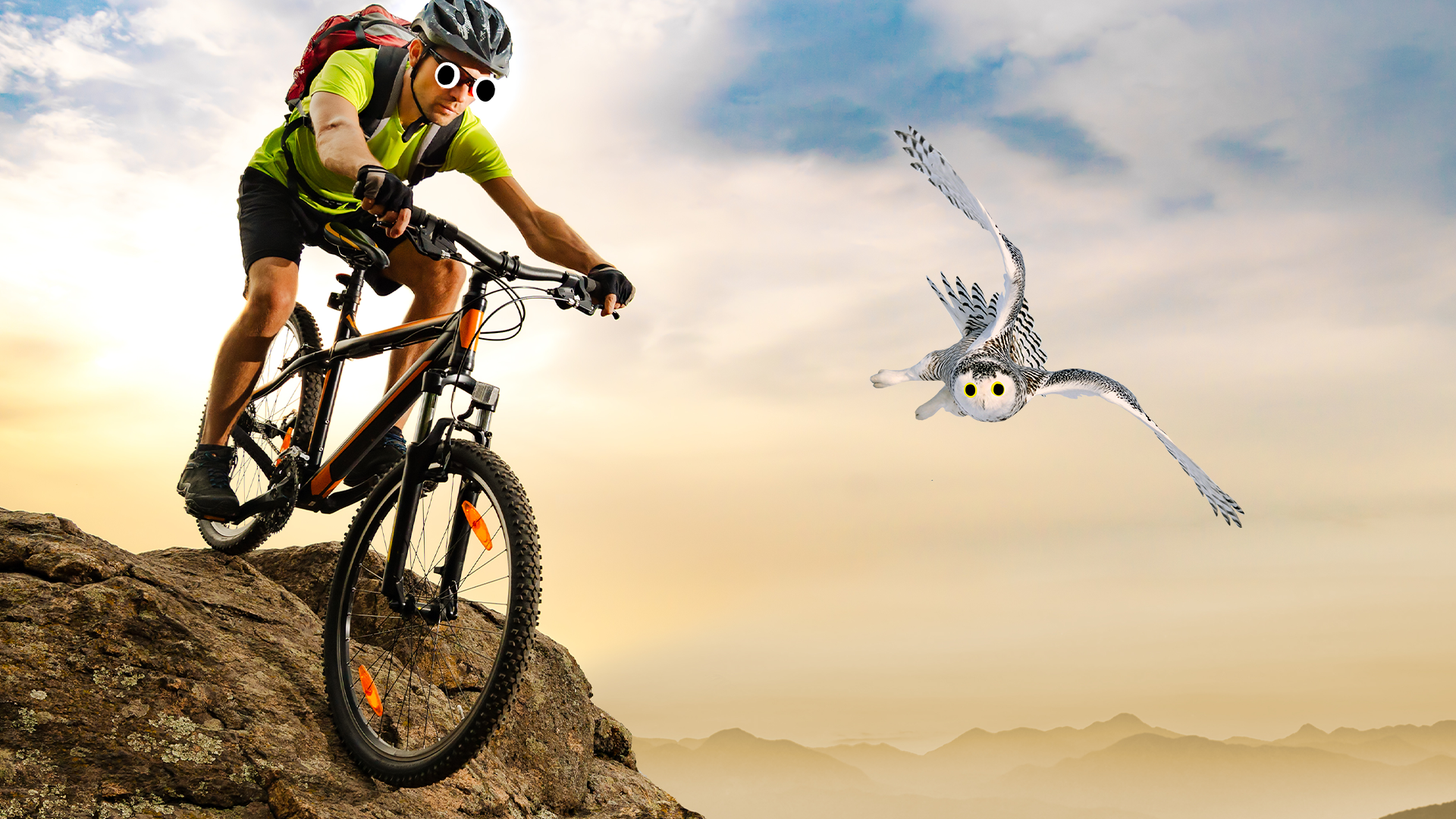 Mountain biker and owl