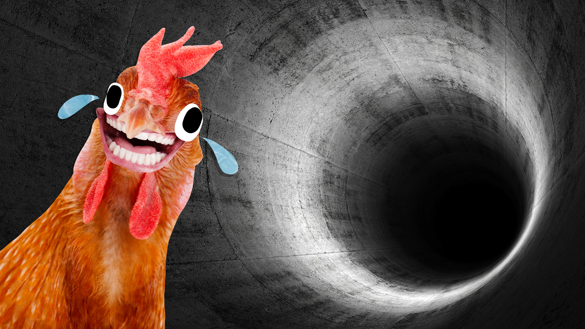 A chicken in a bottomless pit