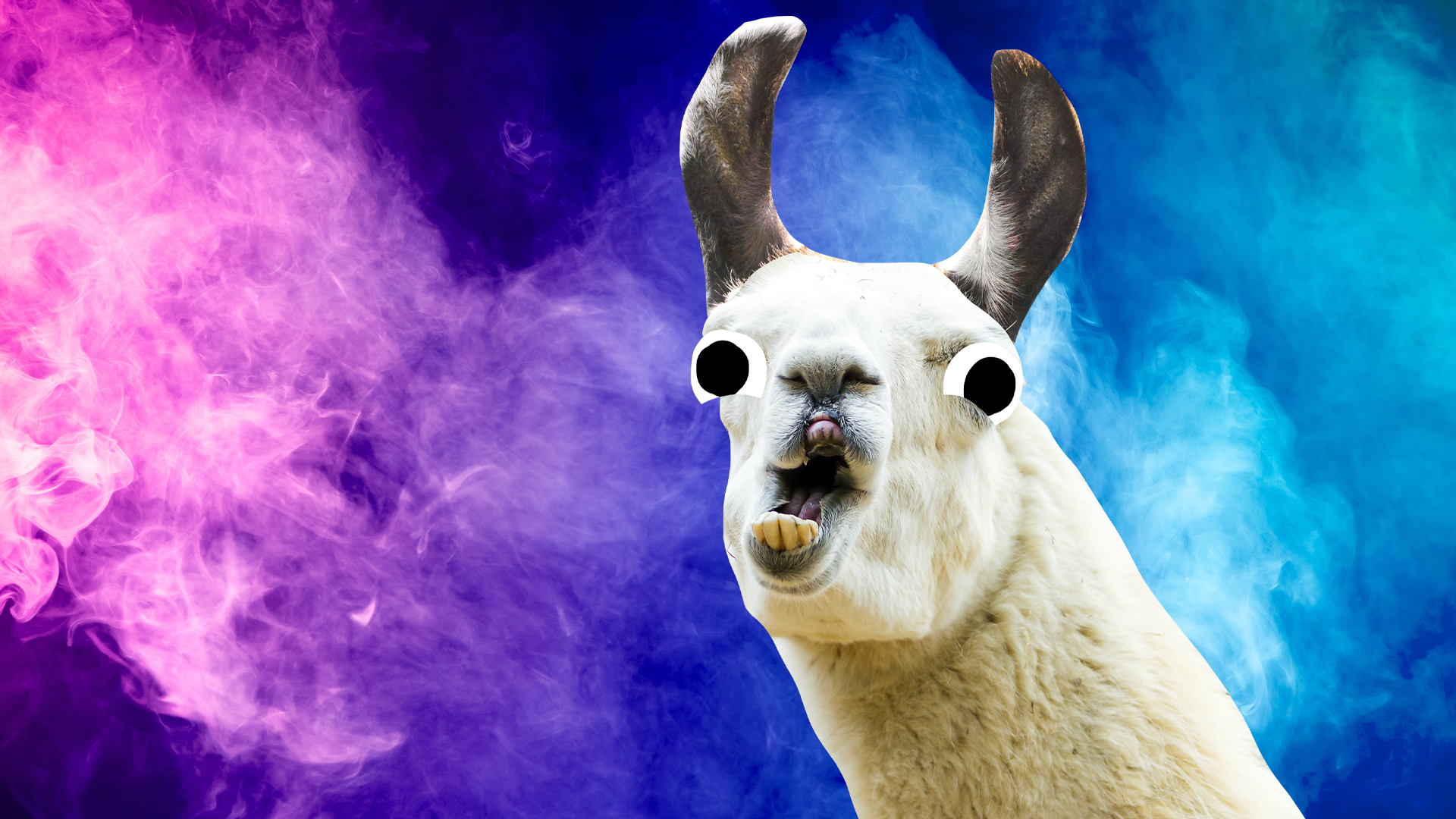 Llama and purple gas