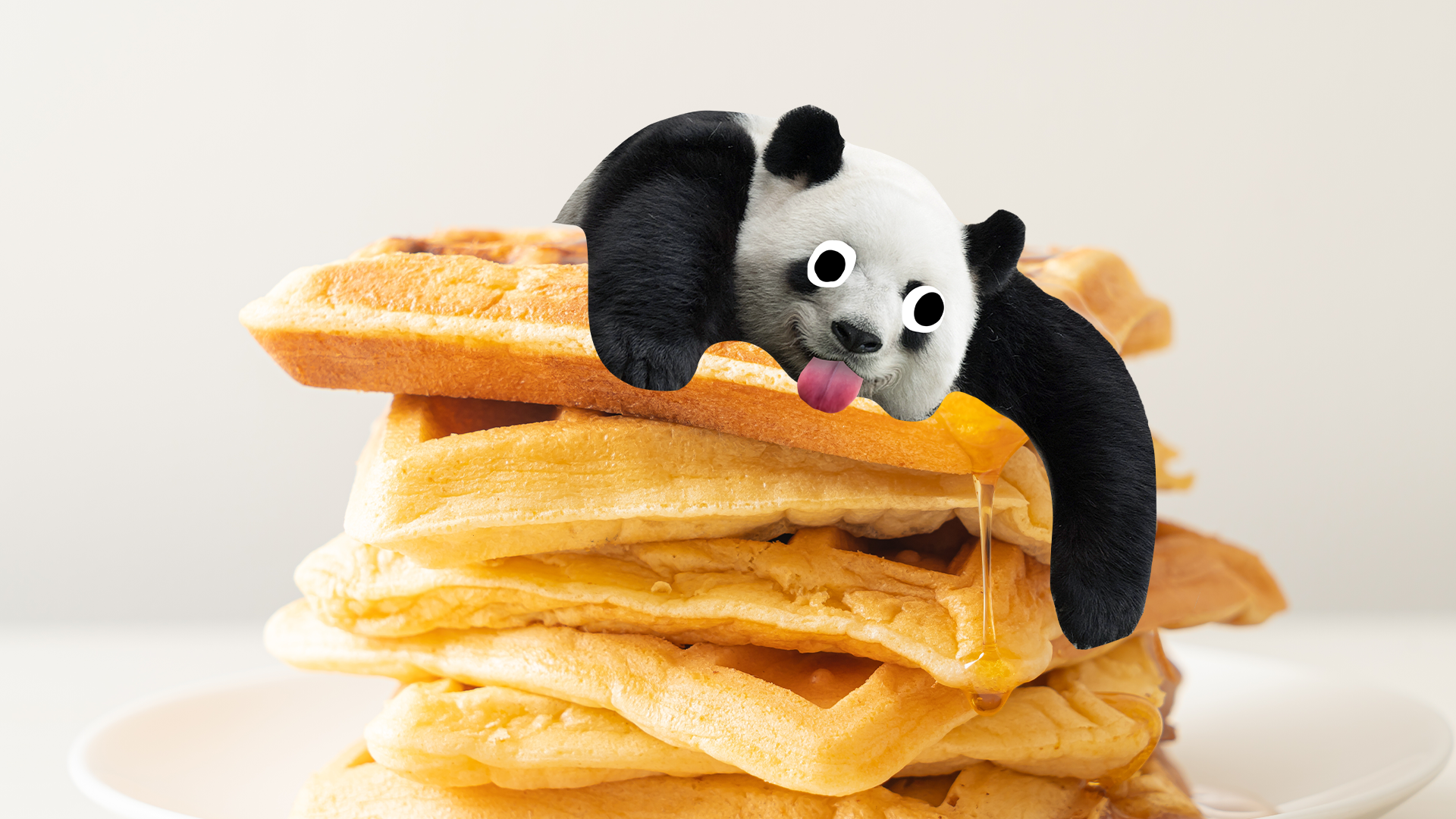 Derpy panda on a stack of waffles