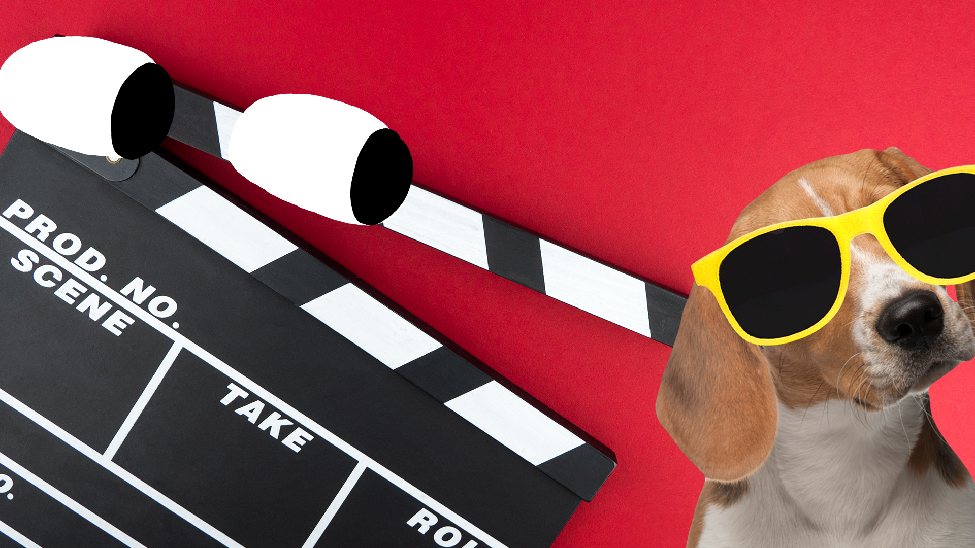 Cool dog and a clapper board