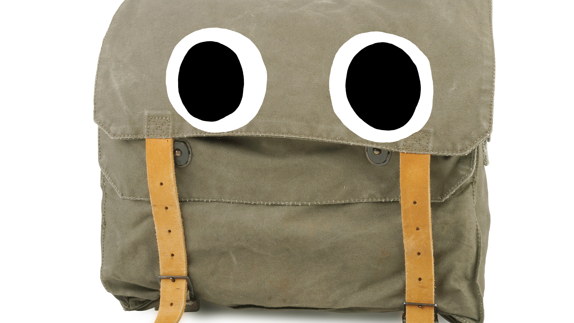 Bag with eyes