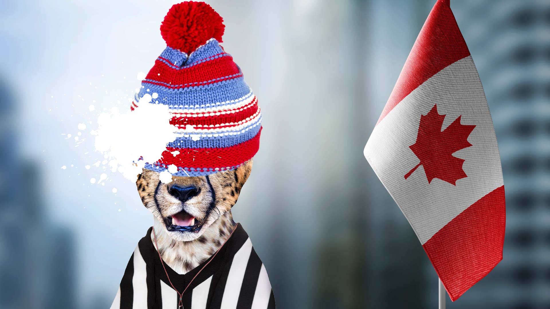 A football referee wearing a woolly hat next to a Canada flag