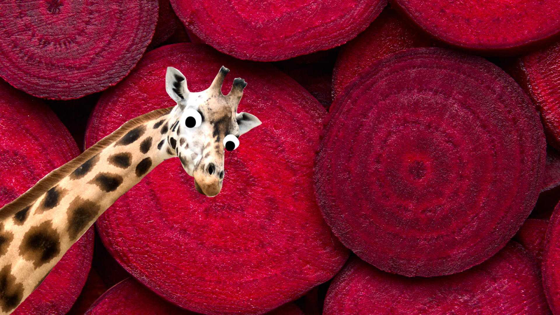 Some beetroot and a derpy giraffe