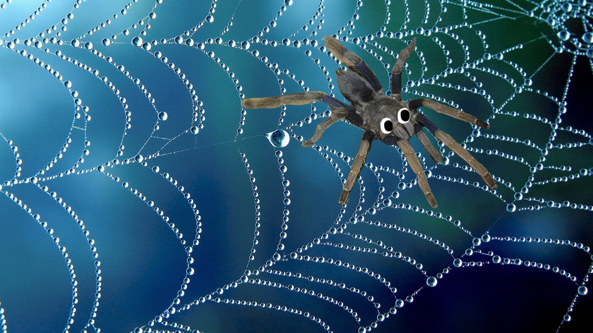Goofy Beano spider on web
