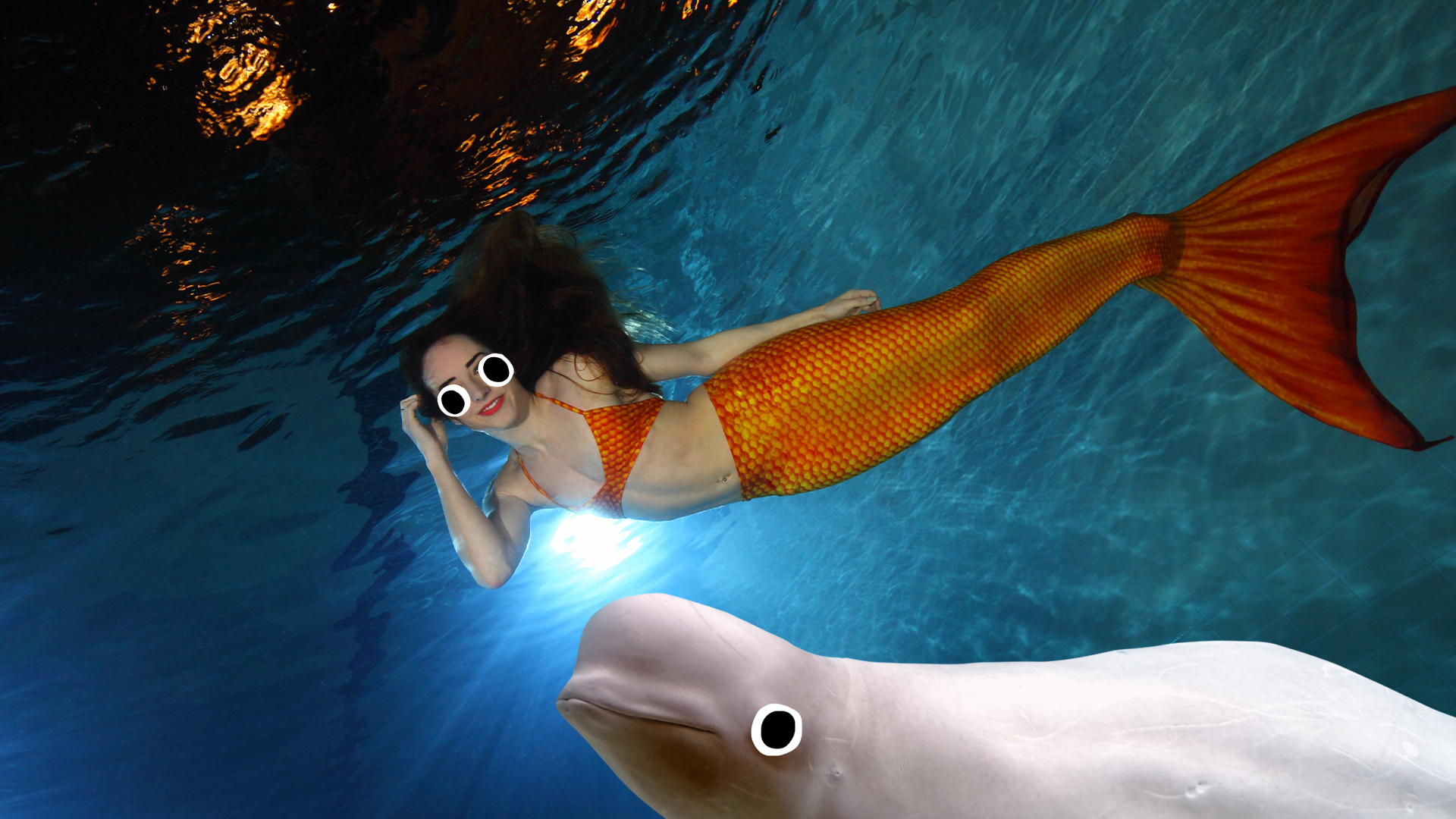 A mermaid and a goofy beluga whale