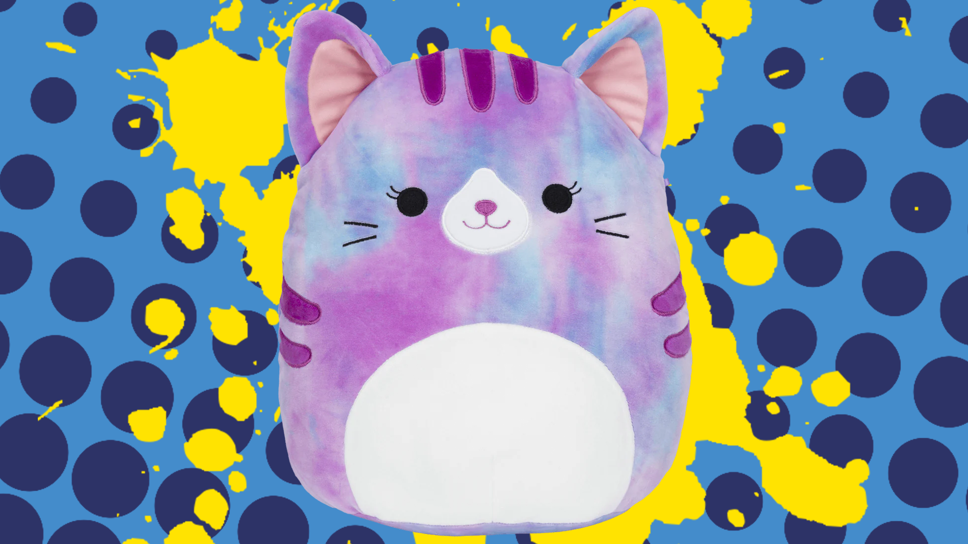 Cat squishmallow on splats and dots background