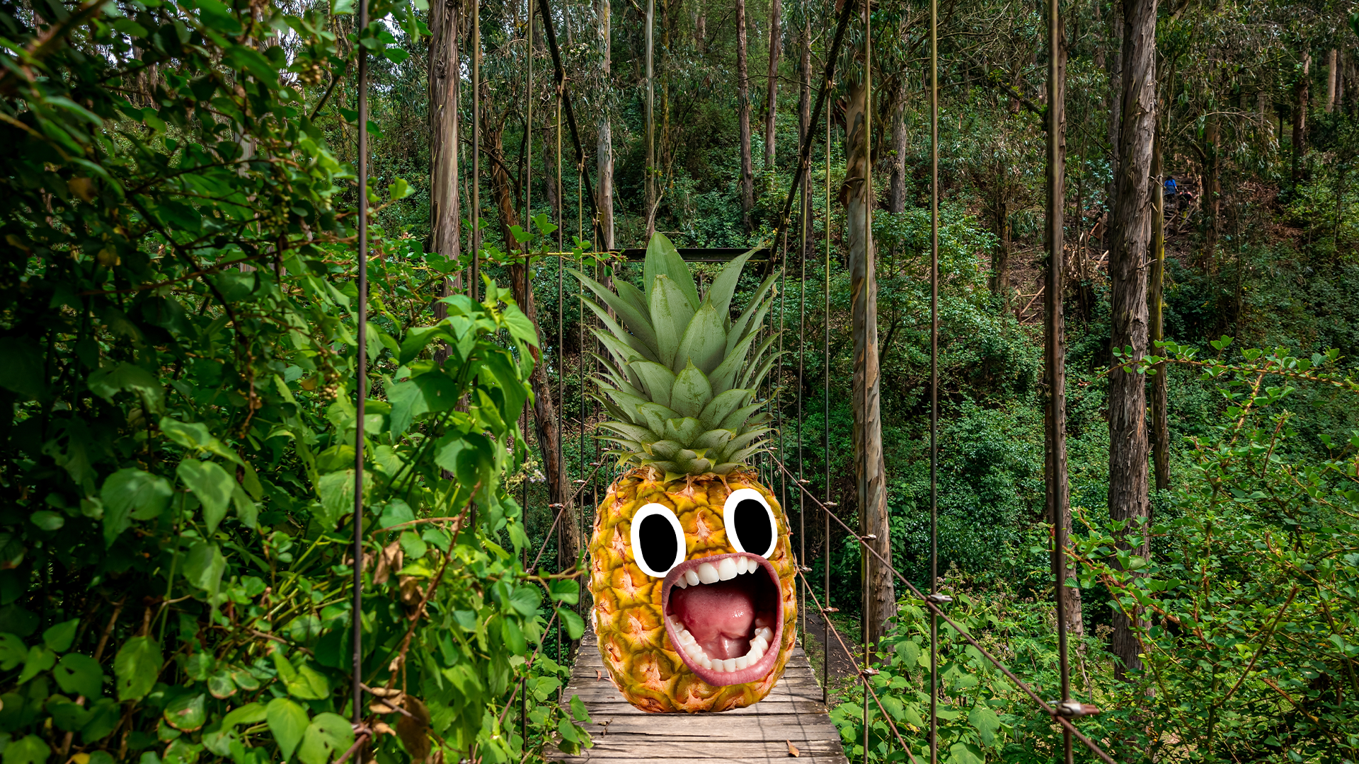 Screaming Beano pineapple on jungle bridge