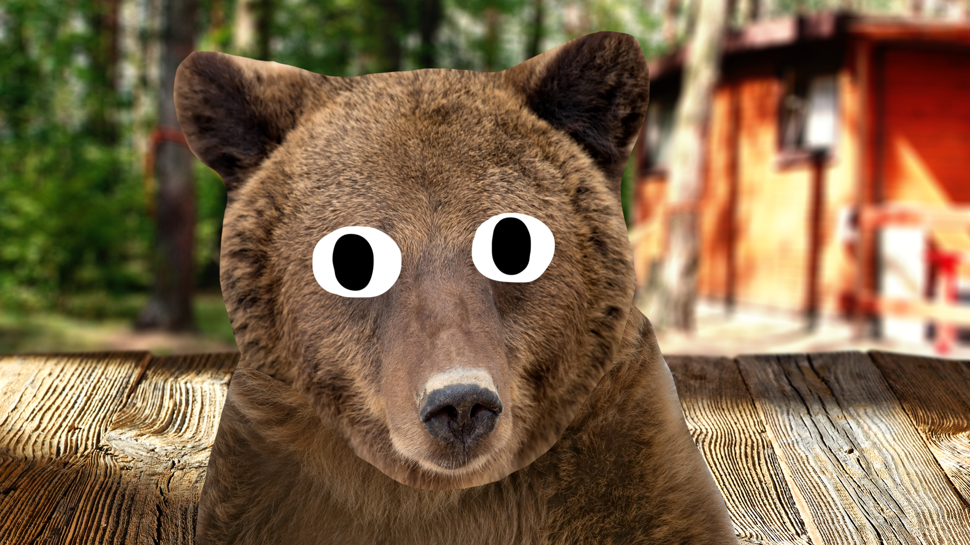 Derpy bear at a campsite
