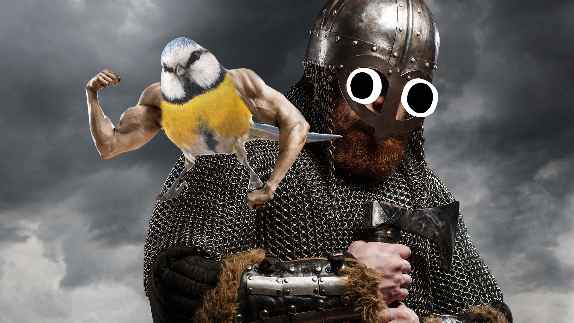 Viking with buff bluetit on his shoulder