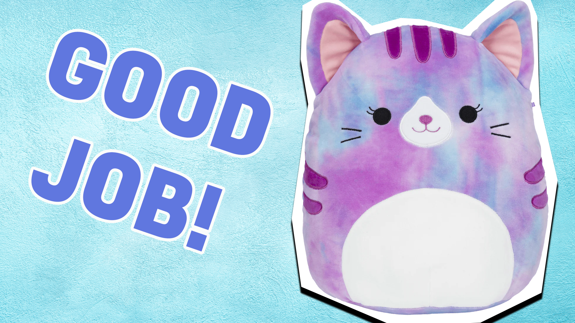 Nice job! We can tell you must love Squishmallows! But are you ready to get 100%?